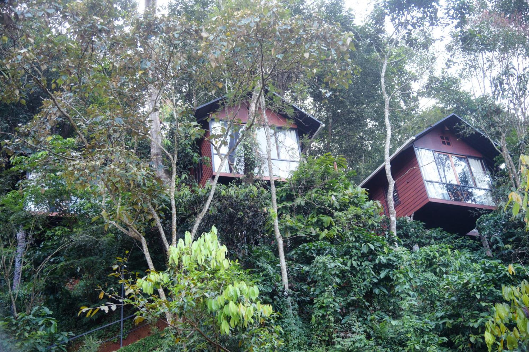 Tree6 Wayanad Villa Vythiri Exterior photo
